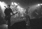 pictures/2003/pic_bb_groupbw_br0703.jpg