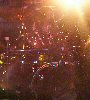 pictures/2003/pic_dennisbr0903.jpg